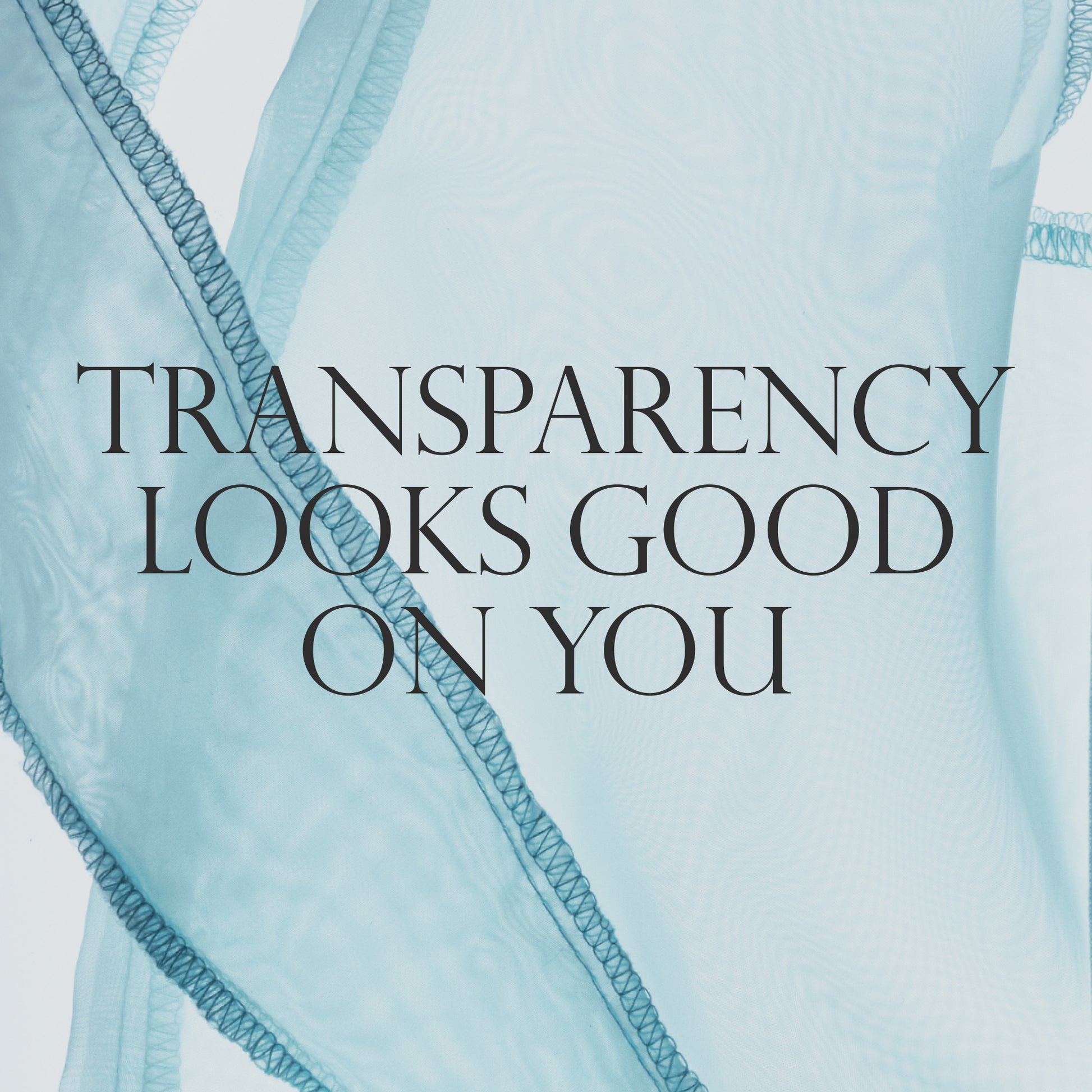 The Dieux-It-All Tote as the background. 
Text: Transparency looks good on you