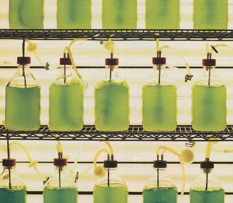 Are There Any Regulations In Skincare?